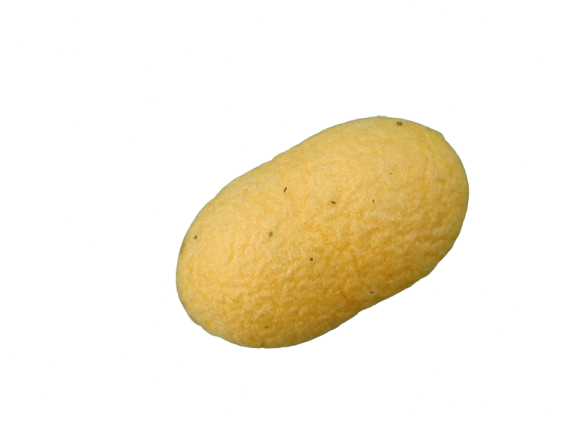 silk image